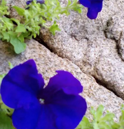 Casa Do Passadico - Alvarenga