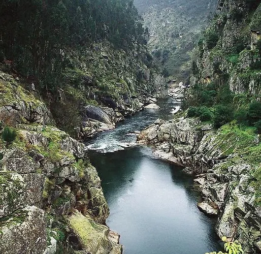 Gospodarstwo wiejskie Casa Do Passadico - *